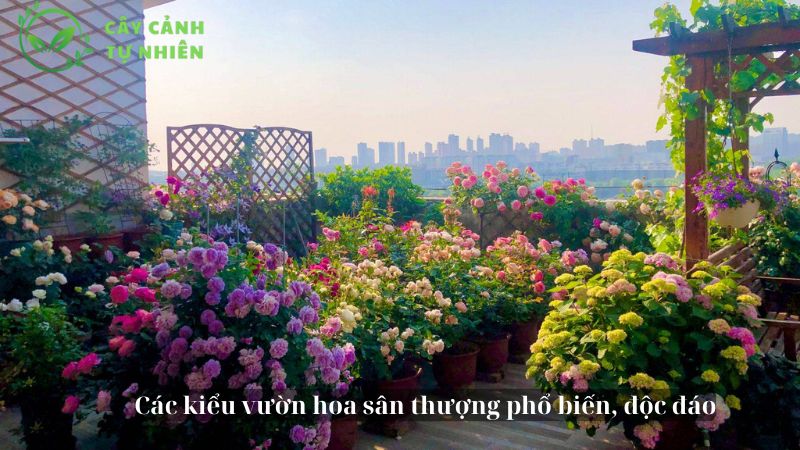 Các kiểu vườn hoa sân thượng phổ biến, độc đáo